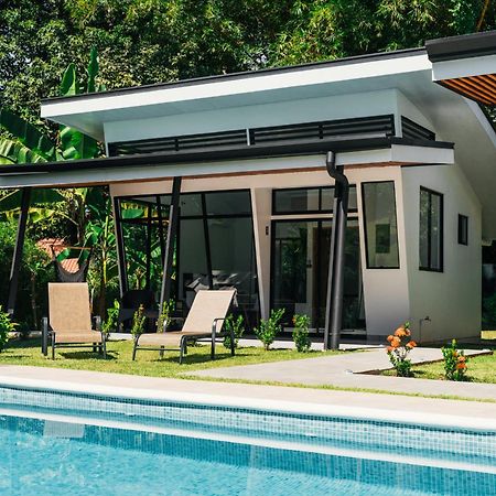 Tamandua Homes El Centro De Увита Экстерьер фото